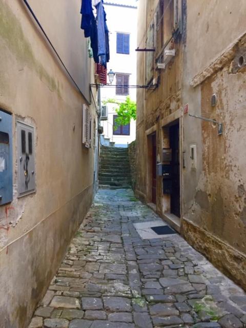Studio Apartma Sara Apartment Piran Exterior photo